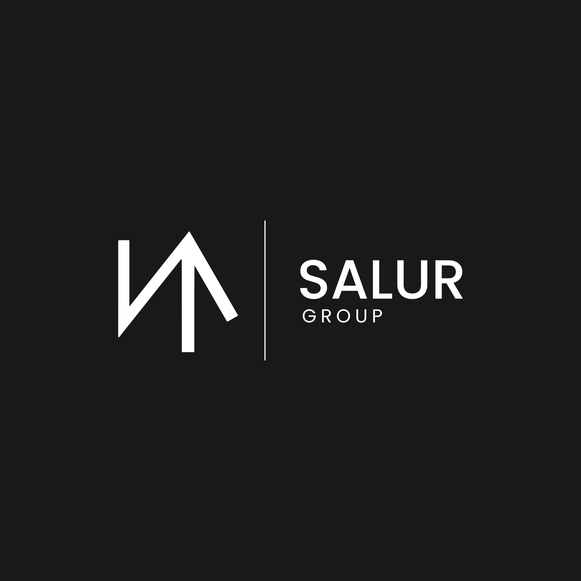 Salur Group fotoğraf 2